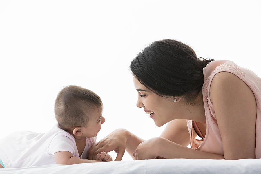 Ethical Whiskins Felt insect Catnip Assorted1234a