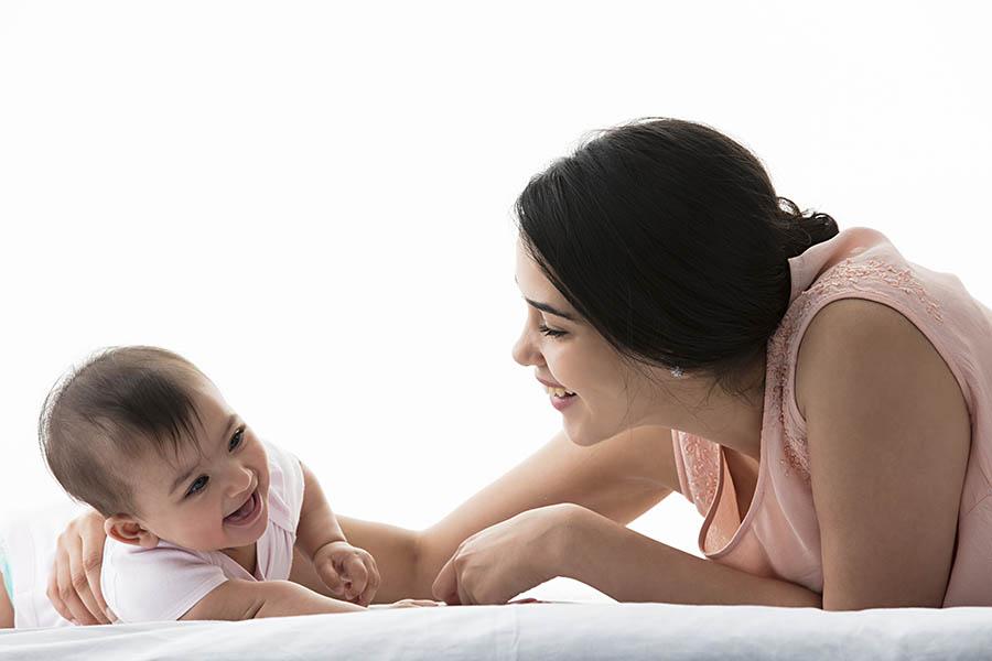 Fat Murray's - Tommy Turtle - Wrapped (6 Pack)1234a